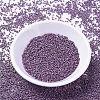 MIYUKI Delica Beads SEED-MY11-DB1173-2