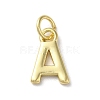 Rack Plating Brass Charms KK-P245-06G-A-1