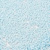 Baking Paint Glass Seed Beads X-SEED-S042-05B-64-3