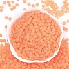 6/0 Luminous Glass Seed Beads X1-SEED-NH0001-01D-4