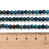 Natural Chrysocolla Beads Strands G-C289-B02-4mm-5