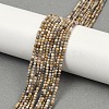 Natural Alashan Agate Beads Strands G-C181-B05-01-1