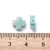 Natural Amazonite Beads G-K369-04P-3