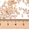 Glass Seed Beads X-SEED-S042-04B-17-4