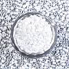 8/0 Glass Seed Beads SEED-A016-3mm-201-3