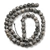 Natural Map Stone/Picasso Stone/Picasso Jasper Beads Strands G-C079-B05-01-3