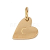 304 Stainless Steel Charms STAS-L291-01G-C-2
