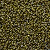 MIYUKI Round Rocailles Beads SEED-G007-RR4519-3