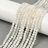 Natural White Moonstone Beads Strands X-G-D294-4mm-02-5