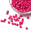8/0 3mm Baking Paint Glass Seed Beads Loose Spacer Beads X-SEED-S002-K24-3