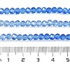Transparent Painted Glass Beads Strands DGLA-A034-T3mm-A01-3