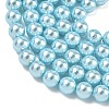 Electroplated Shell Pearl Beads Strands BSHE-G041-6mm-03-3