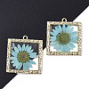 Epoxy Resin Pendants X-RESI-T045-029D-1