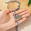 Natural Blue Spot Jasper Multi Strand Links G-TAC0005-04A-8