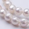 Natural Cultured Freshwater Pearl Beads Strands PEAR-F004-50-3