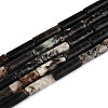Natural Biotite Beads Strands G-T141-74-4