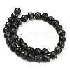 Natural Larvikite Beads Strands G-C280-B06-12mm-3