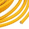 Braided Leather Cord with Core WL-F009-6mm-01-2