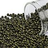 TOHO Round Seed Beads SEED-TR11-0617-1