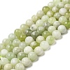Natural New Jade Beads Strands G-K340-A01-03-1
