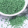 MIYUKI Round Rocailles Beads SEED-JP0008-RR0646-1