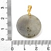 Natural Labradorite Pendants GG-CBA260E-03G-14-3