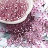 Glass Seed Beads SEED-H002-C-A041-1