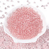 FGB Transparent Glass Seed Beads SEED-N013-01A-10-2