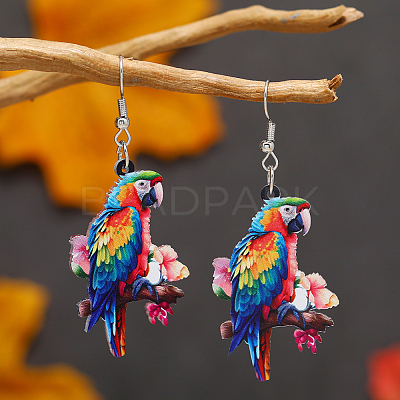 Colorful Acrylic Dangle Earrings LS-HJ6740-6-1