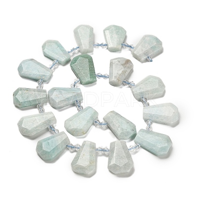 Natural Amazonite Beads Strands G-H078-A06-01-1