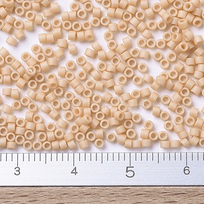 MIYUKI Delica Beads Small SEED-X0054-DBS0389-1