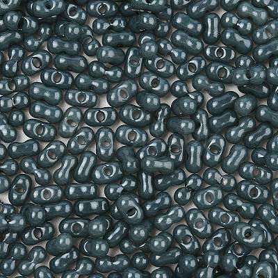 Baking Paint Glass Seed Beads SEED-L011-09A-23-1