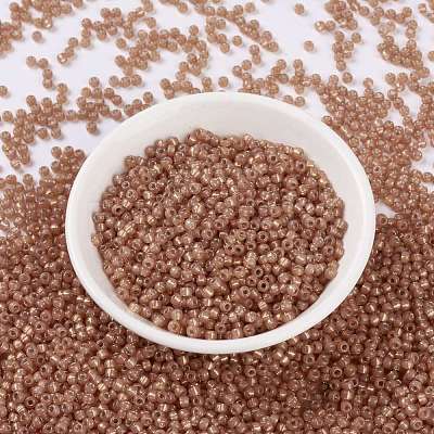 MIYUKI Round Rocailles Beads SEED-JP0009-RR0553-1