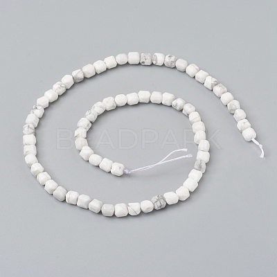 Natural Howlite Beads Strands G-I270-09-1