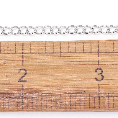 Tarnish Resistant 304 Stainless Steel Curb Chains CHS-F006-04B-P-1