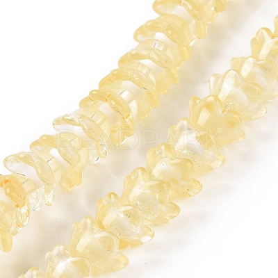 Transparent Glass Beads Strands LAMP-H061-01C-06-1