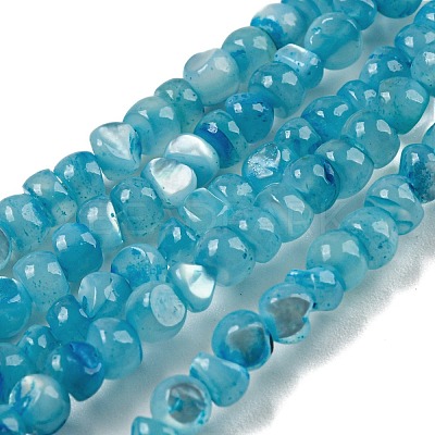 Natural White Shell Dyed Beads Strands BSHE-Z005-03B-1
