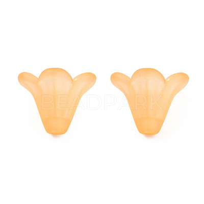 Frosted Acrylic Beads PL692-15-1