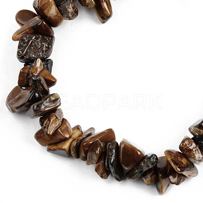 Unisex Chip Natural Tiger Eye Beaded Stretch Bracelets X-BJEW-S143-02-1