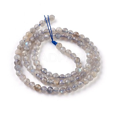 Natural Labradorite Beads Strands G-O176-04A-1