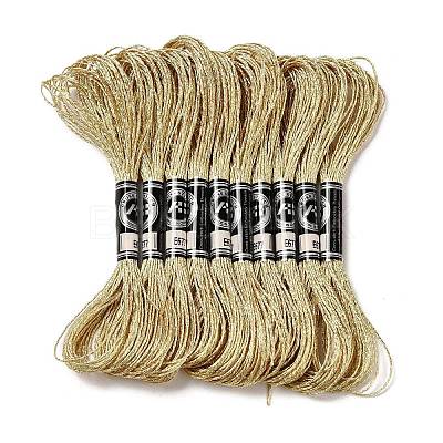 10 Skeins 12-Ply Metallic Polyester Embroidery Floss OCOR-Q057-A14-1