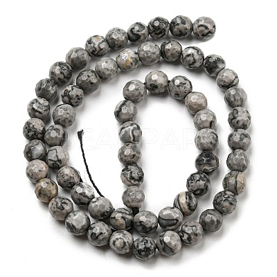 Natural Map Stone/Picasso Stone/Picasso Jasper Beads Strands G-C079-B05-01-1