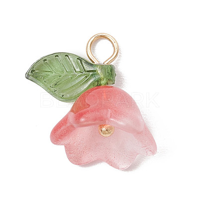 Acylic Pendant PALLOY-TA00089-1