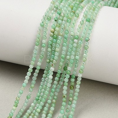 Natural Chrysoprase Beads Strands G-A322-A01-2mm-1