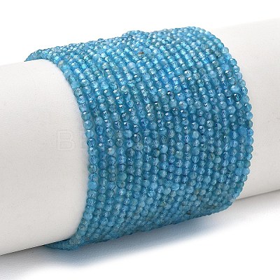 Natural Apatite Beads Strands G-Z160-A01-2mm-1