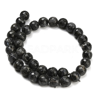 Natural Larvikite Beads Strands G-C280-B06-12mm-1