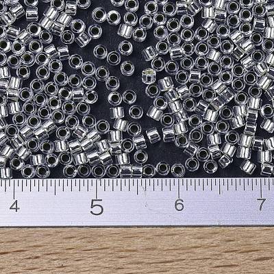 MIYUKI Delica Beads SEED-X0054-DB0041-1