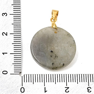 Natural Labradorite Pendants GG-CBA260E-03G-14-1