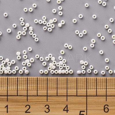 11/0 FGB Grade A Ceylon Glass Seed Beads X-SEED-N001-B-0482-1