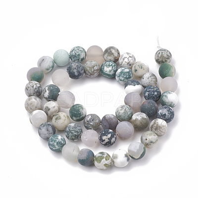 Natural Tree Agate Beads Strands G-T106-038-1